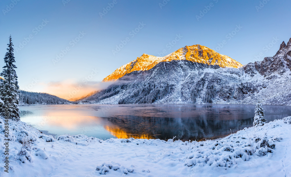Naklejka premium Winter landscape