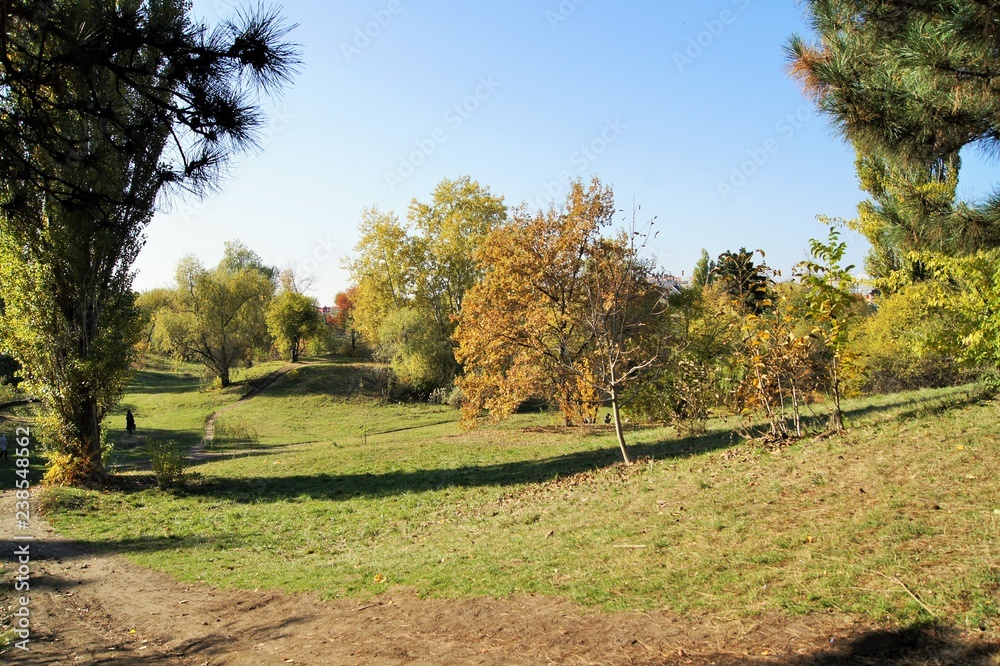 autumn in the park autumn in the park