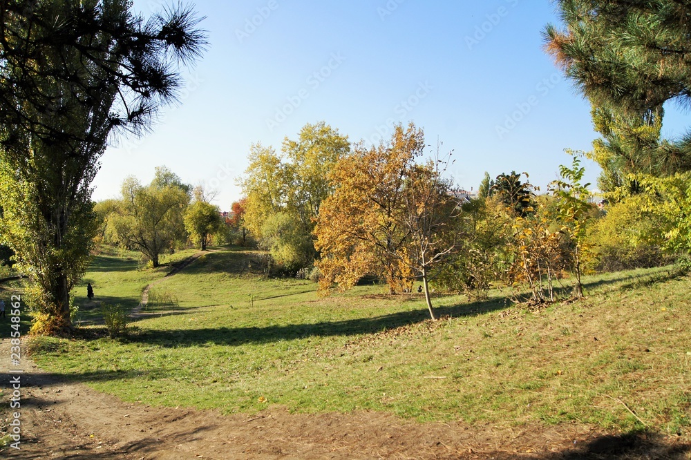 autumn in the park