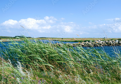 Laesoe / Denmark: On the banks of the Fannemand canal at the southwestern tip of the island photo