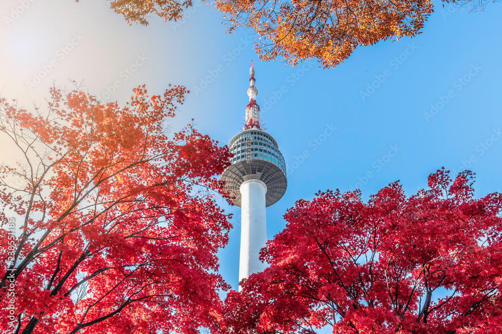 The spiers of the N Seoul Tower or Namsan Tower in autumn in ...