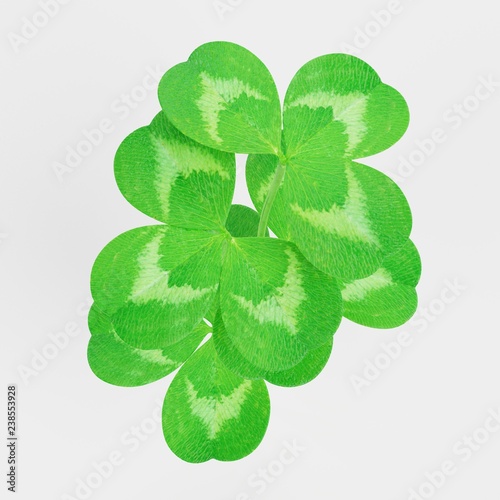 Realistic 3D Render of Clover Plant