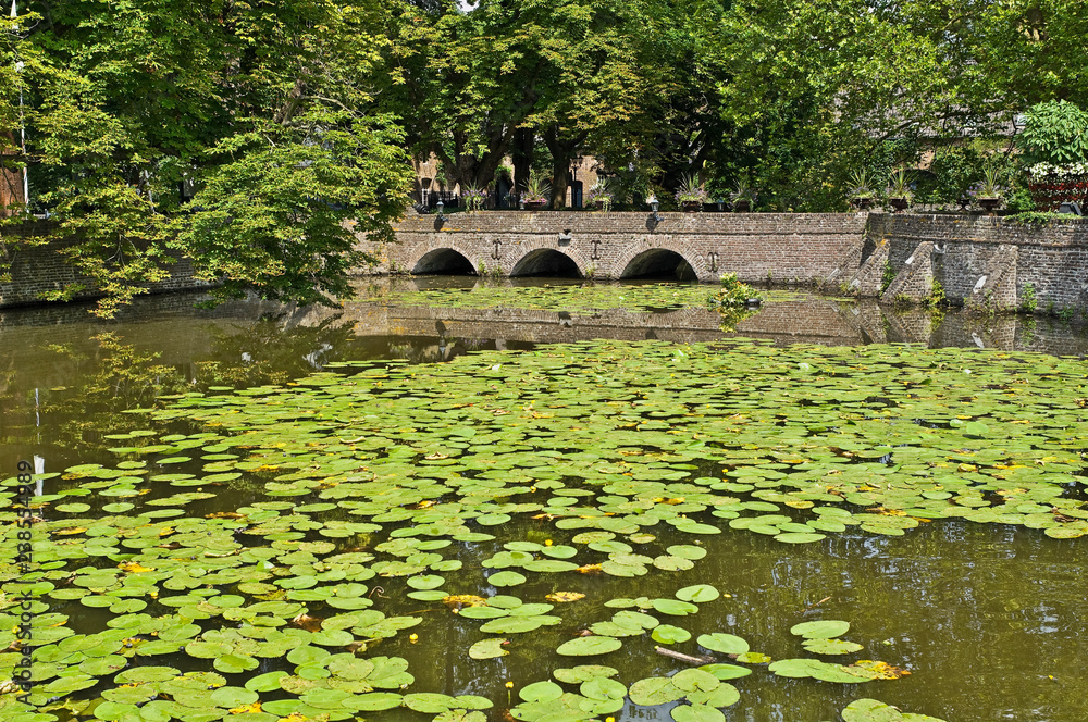 Teich Mit Mauer