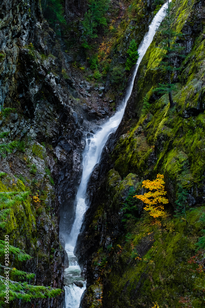 waterfall in forest Natural Forest , Seattle ,Washington State waterfall in forest Natural Forest , Seattle ,Washington State