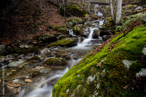 Mountain stream