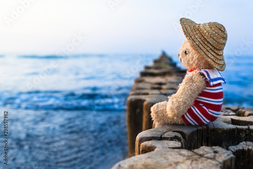 Nostalgic Holidays at the Sea / Teddy bear at summer vacation sit on row of wooden groynes, wear straw hat and striped sailor suit, take a look toward blue water horizon (copy space)