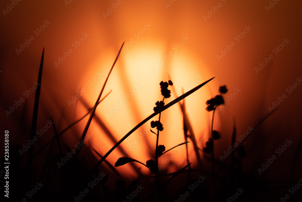 Obraz premium Sunset & shadow