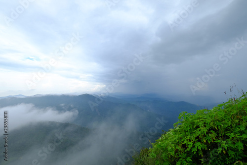 View of clouds over top of green mountains with foreground of fresh bush