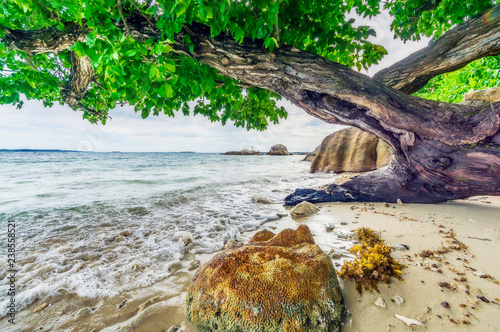 Indonesia, Riau Islands, Bintan, beach photo