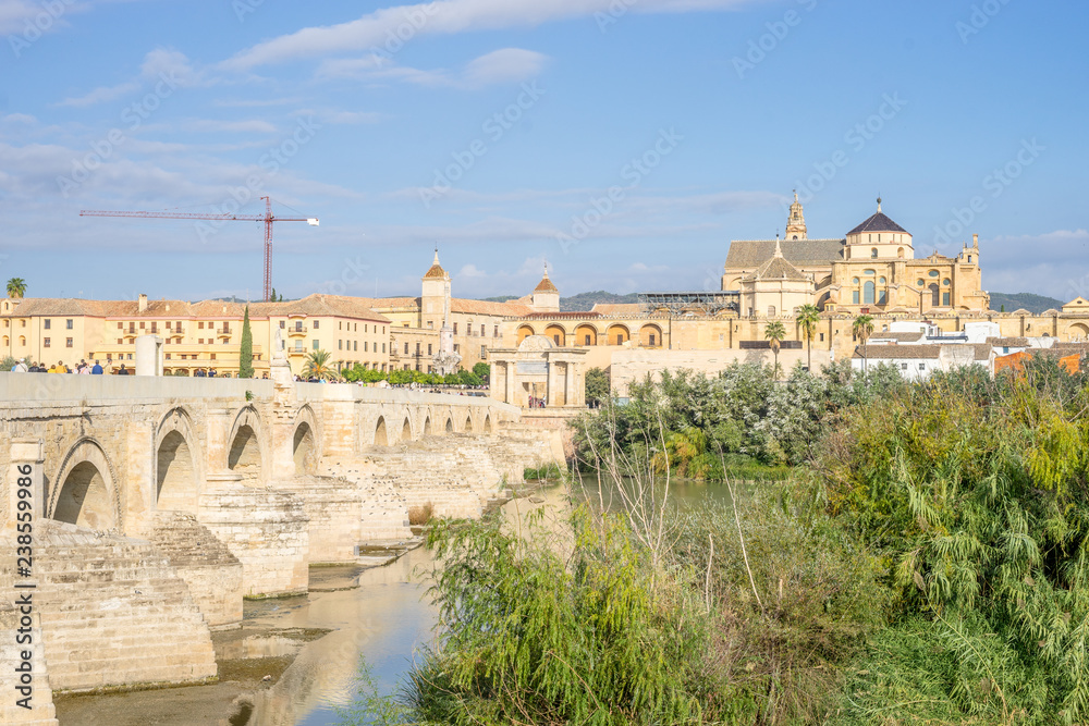 Roman bridge and cathedral - mosque by the river in Cordoba, Andalusia, Spain