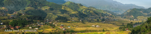 Beautiful Panorama Top view of growing golden paddy rice field in Tavan local village with fansipan mountain and cloudy sky in background, Sapa, Laocai , Northwest of Vietnam photo