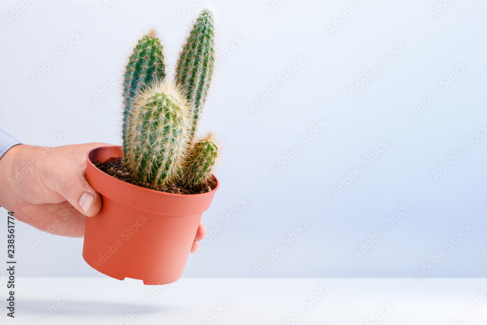 Concept photo of conflict beween people. Rejection, upset in relationship of friendship. Concept photo of conflict beween people. Rejection, upset in relationship of friendship.