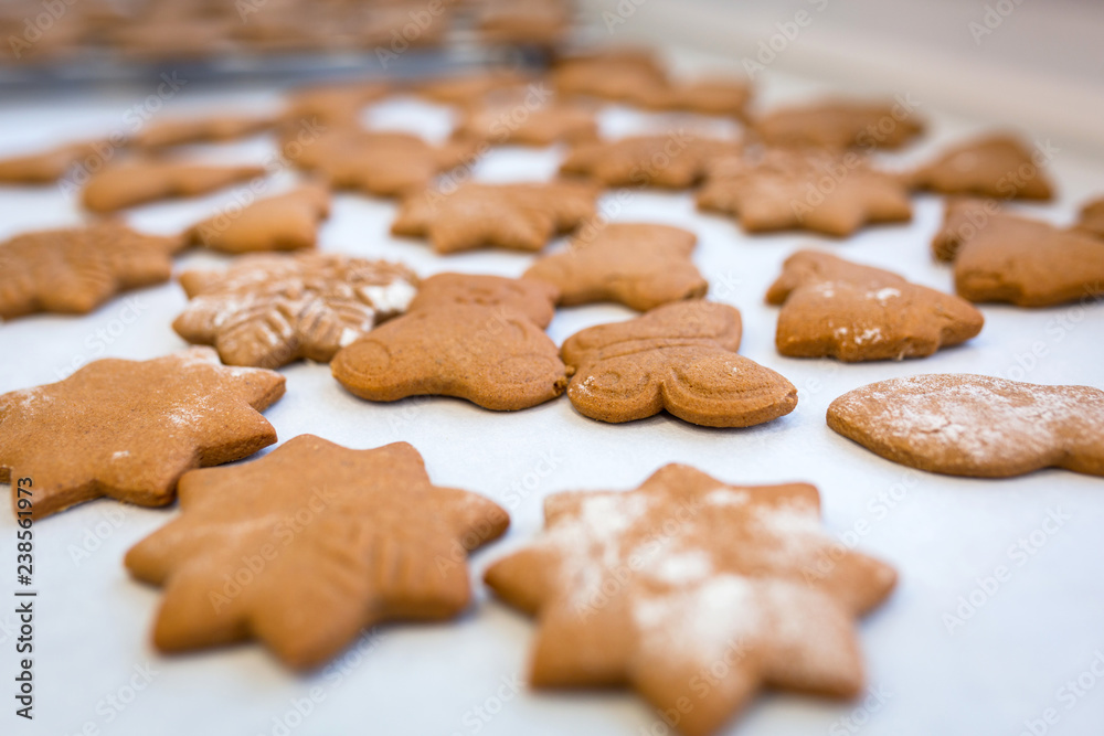 Freshly baked gingerbread cookies for Christmas Freshly baked gingerbread cookies for Christmas