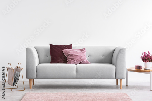 Lilac and burgundy pillows on grey settee in bright living room with heather on coffee table and copy space on the empty white wall photo