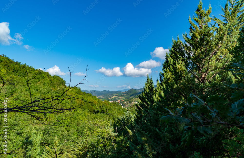 Panorama dal sentiero sul monte Nerone n°201