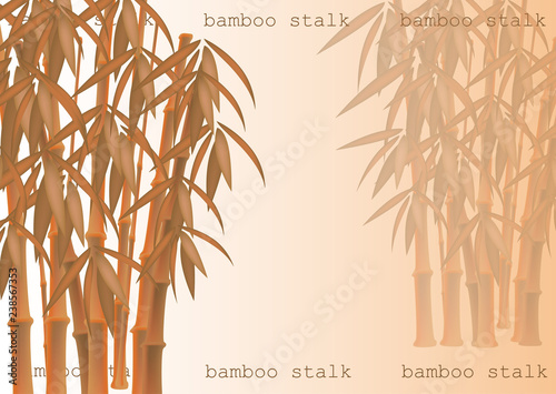 Abstract background of bamboo trees. Bamboo stalks. Vector illustration of tropical plants for your design.