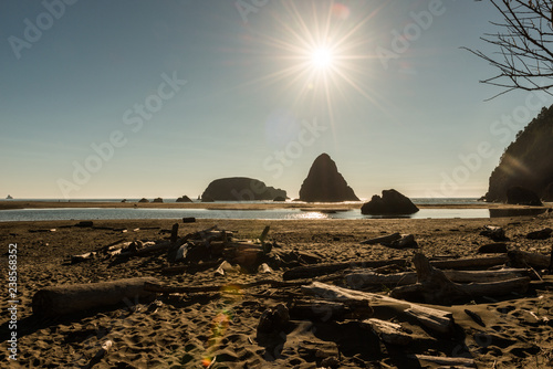 Stack of trunks and islets in the background that stand out in the Pacific Ocean on a beach in southern Oregon, USA