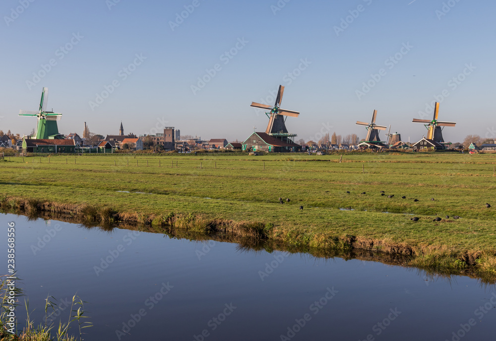 Fototapeta premium Zaanse Schans, Netherlands - considered a real open air museum, Zaanse Schans presents a collection of well-preserved historic windmills and houses