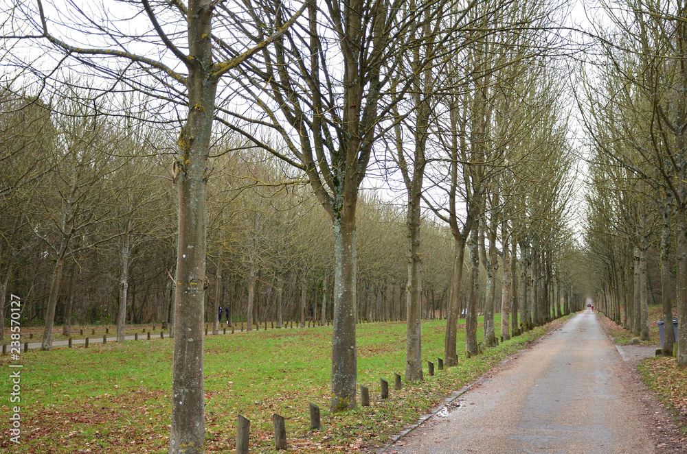 December in a Park Near Paris