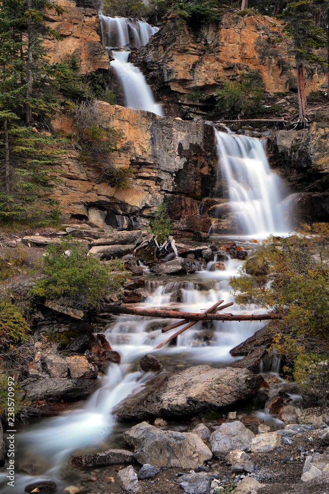 Obraz premium Tangle Creek Falls in Jasper National Park