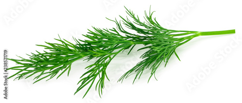 Fotografering fresh green dill isolated on white background. macro