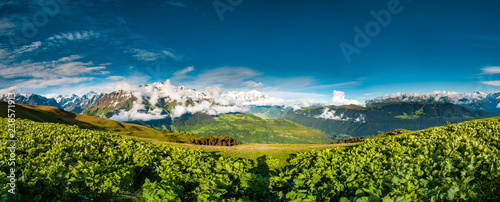 Panoramic view of green valley on mountains background. Overwhelming scenery of Georgian nature. Road crossing lowland. Green hills before the snow covered mounts. Cloudy blue sky. photo