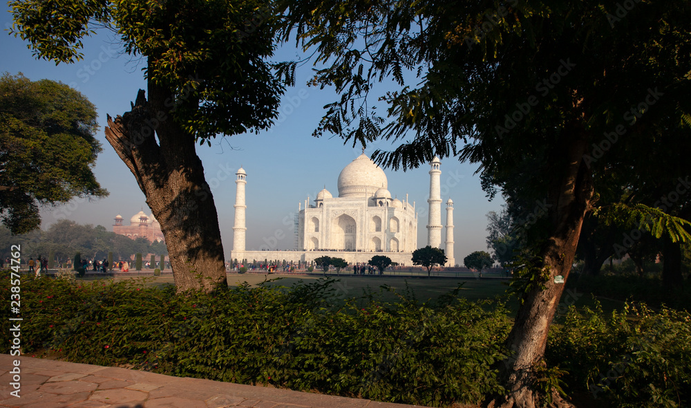 View of Taj Mahal through trees in daytime