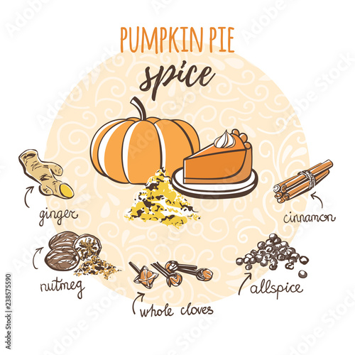 Vector illustration of homemade Pumpkin pie spice. Hand drawn powder, slice of cake, fruit and ingredients: cinnamon, cloves, nutmeg. Sketch recipe card with isolated doodle objects and hand writing. 
