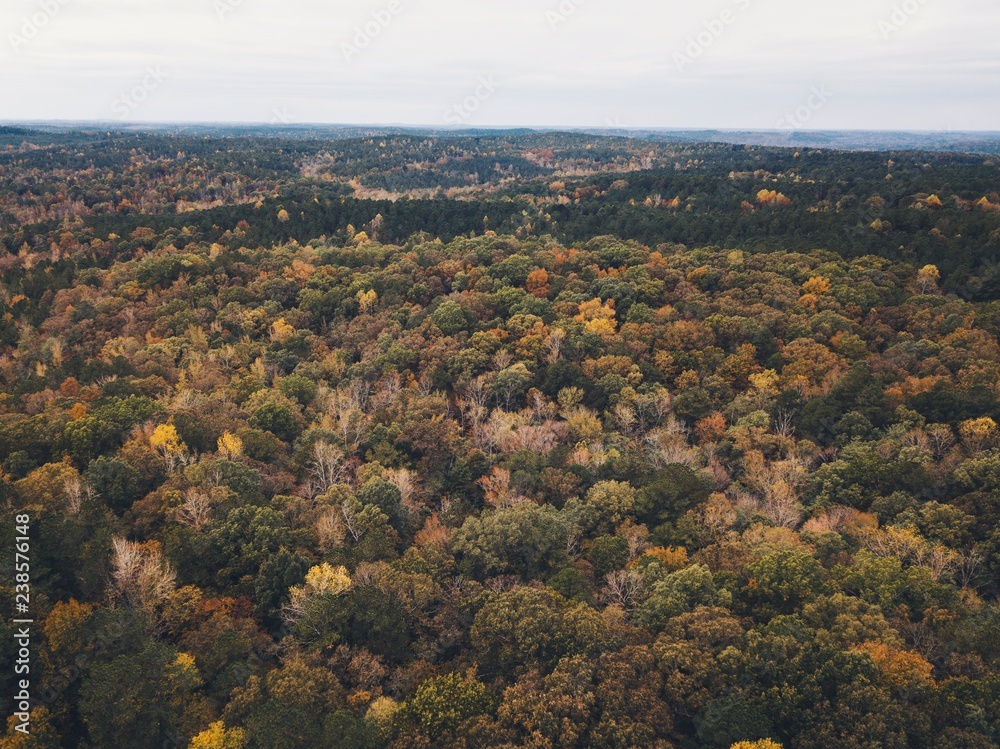 Drone images of fall colors in the southeastern united states with multiple types of foliage.
