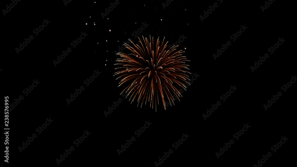 Closeup amazing firework show for celebration on black sky at night. (4K Video) Closeup amazing firework show for celebration on black sky at night. (4K Video)