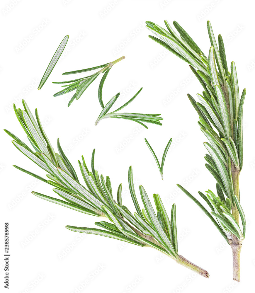 Fototapeta premium Rosemary on a white background. Top view.