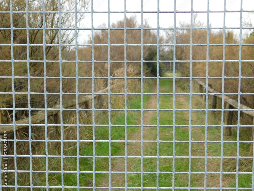 Obraz premium griglia cancello