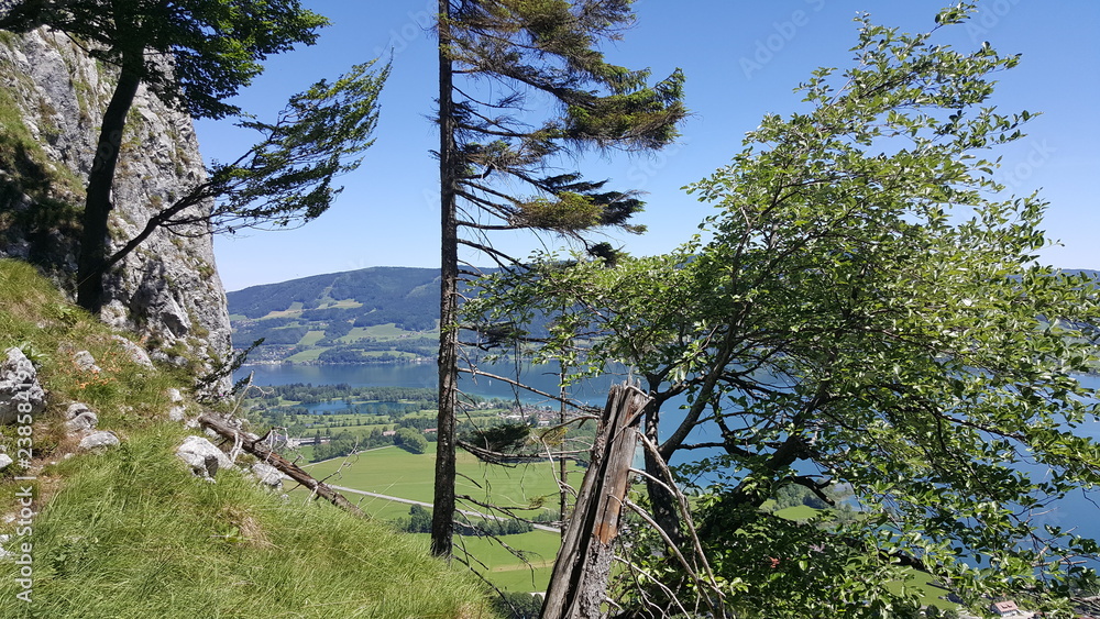 Obraz premium Traveling in the alps