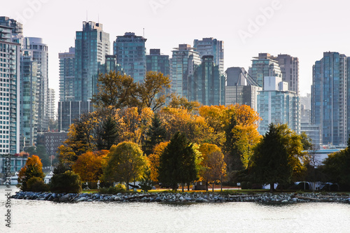 city skyscrapers with autumn park and lake in foreground © Michelle Silke