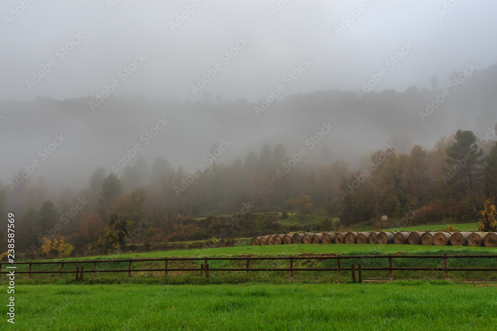 Fog between fields with straw bales. Environmental phenomena concept