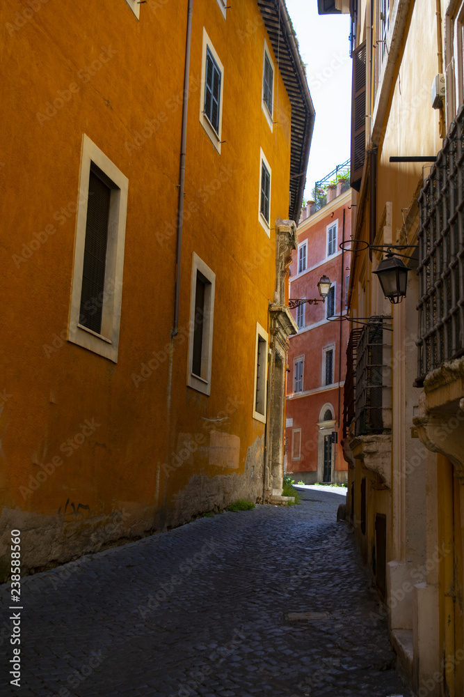 Fototapeta premium alley in the historica centre of Rome