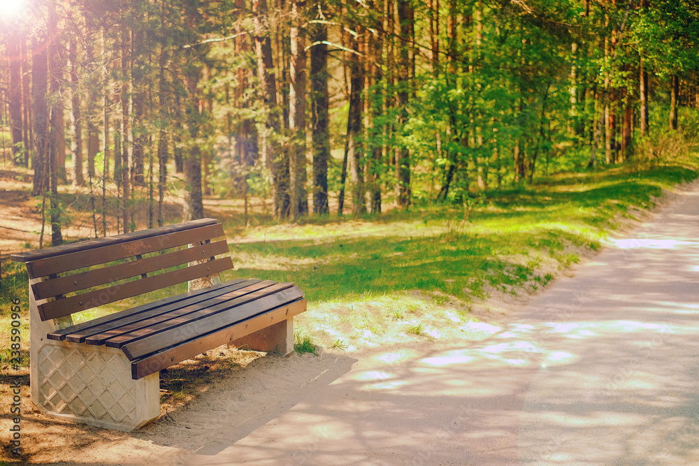 Park bench. a summer boarding house. walking in the cool shade of trees Park bench. a summer boarding house. walking in the cool shade of trees