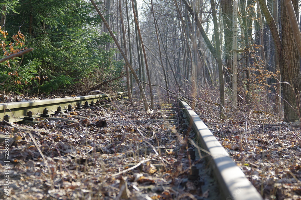 0400 Overgrown railway tracks 0400 Overgrown railway tracks