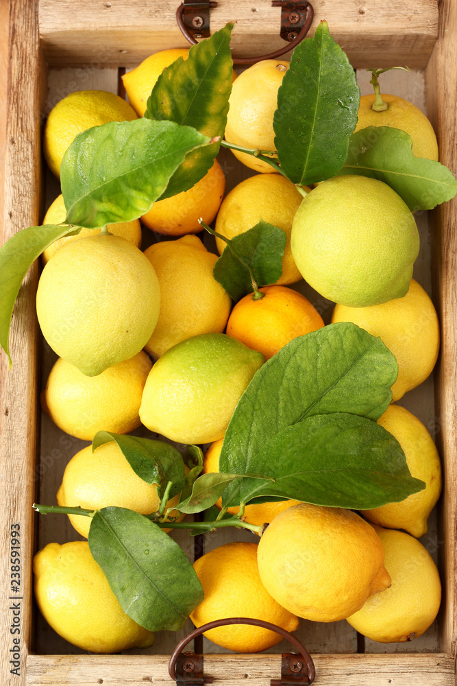 Fresh lemons 