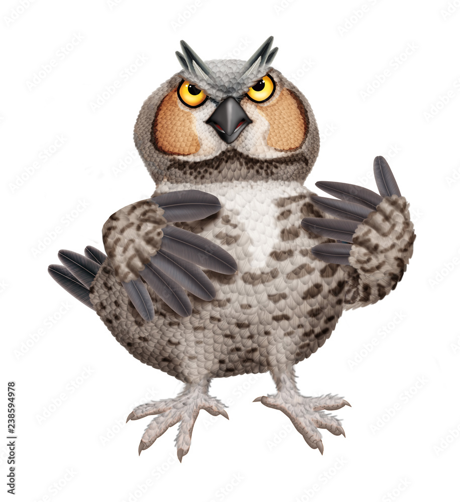 Obraz premium oiseau, animal, chouette, nature, bec, faucon, faune, attitude, empennage, prédateur, sauvage, isolé, faucon, 