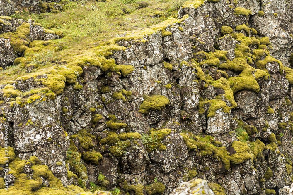 Rough Iceland landscape at Thingvellir national park