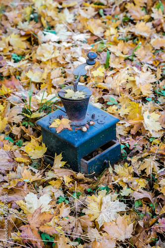 coffee-milling apparatus stands on coloured autumn leaves