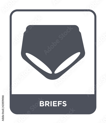 briefs icon vector