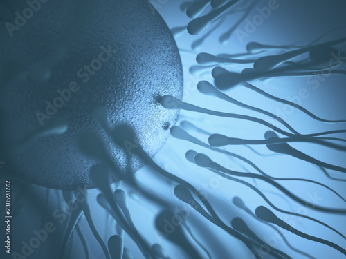 Conceptual image of human reproduction. Sperm trying to get into the egg.