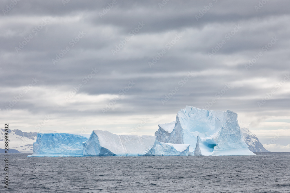 Floating icebergs Floating icebergs