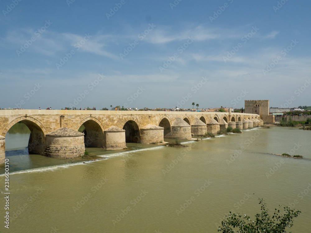 roman bridge, cordoba