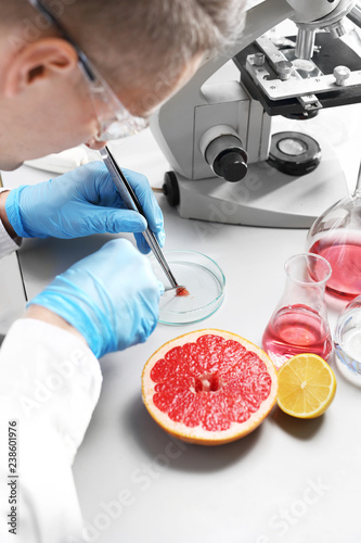 Biotechnologia żywności. Laborant bada próbkę owocu pod mikroskopem.