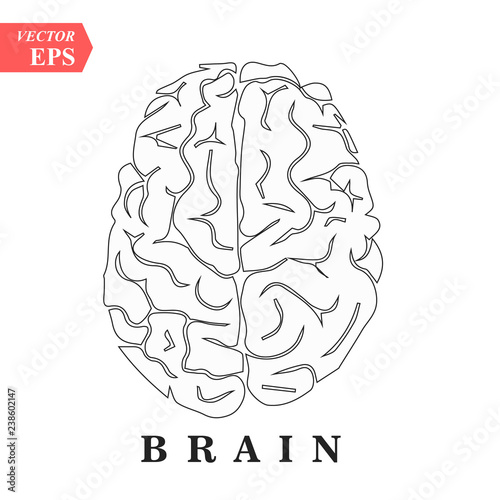 Brain, mind or intelligence line art icon for apps and websites