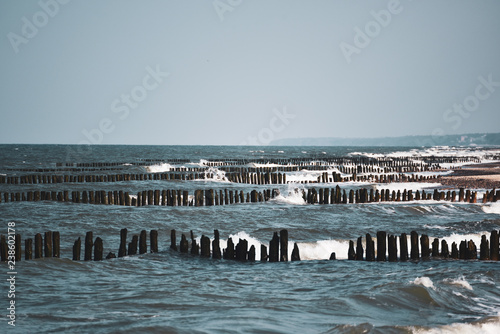 Fototapeta Naklejka Na Ścianę i Meble -  Groynes on the beach of the Baltic Sea