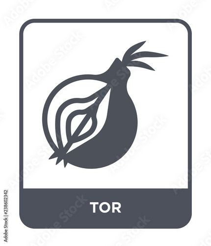 tor icon vector